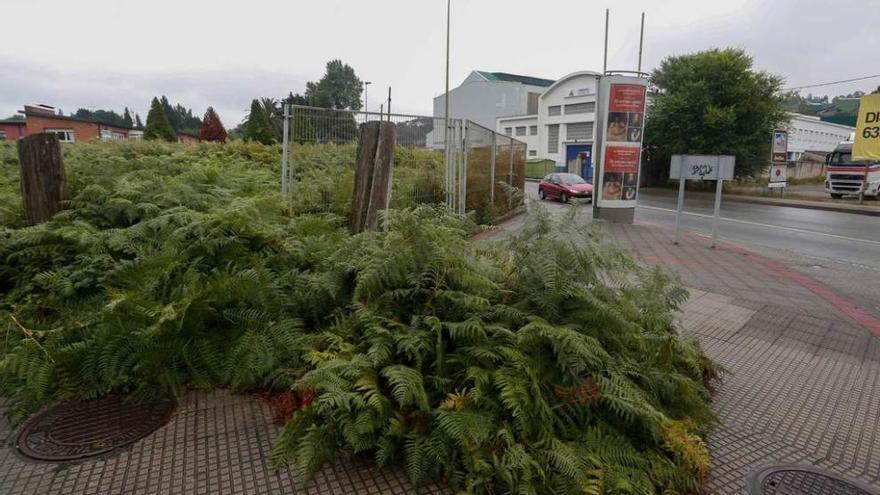 La maleza de una finca en Raíces Nuevo invade la acera