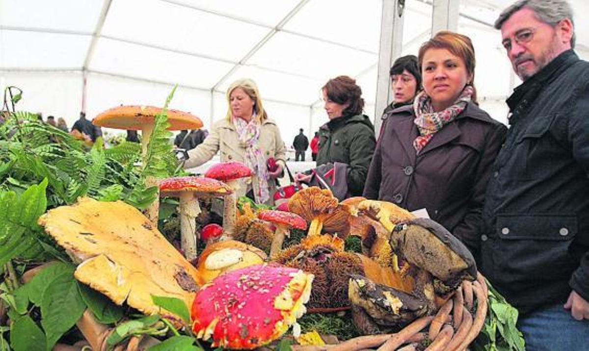 Una edición anterior de la Festa do Cogumelo de Soutelo de Montes.  // Bernabé