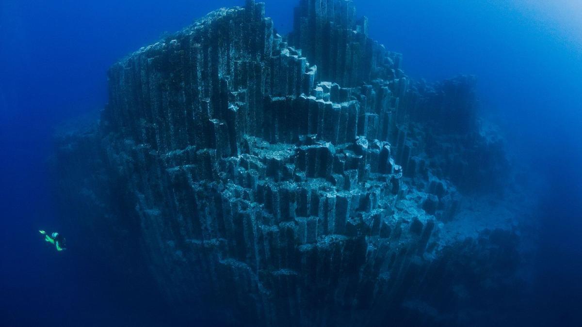 Un tesoro bajo el mar de Tenerife.