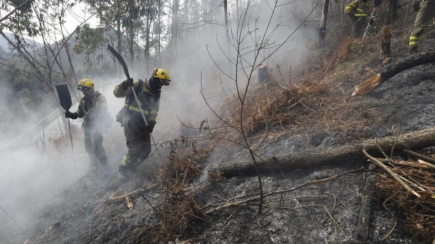 La Fiscalía pide penas ejemplares para dos ganaderos por incendios forestales para pastos en Piloña y Llanes