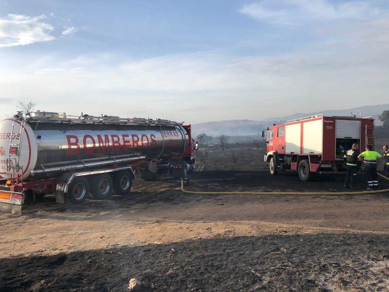 Imágenes del incendio forestal de Grisuela.