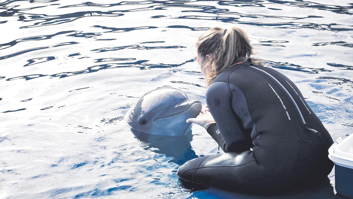 Una de les cuidadores, amb un dels dofins.