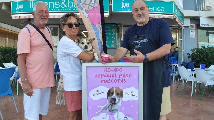 Los helados para mascotas desembarcan en la playa de Gandia