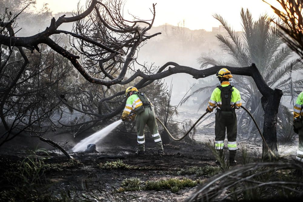 Tareas de extinción del incendio en Guardamar