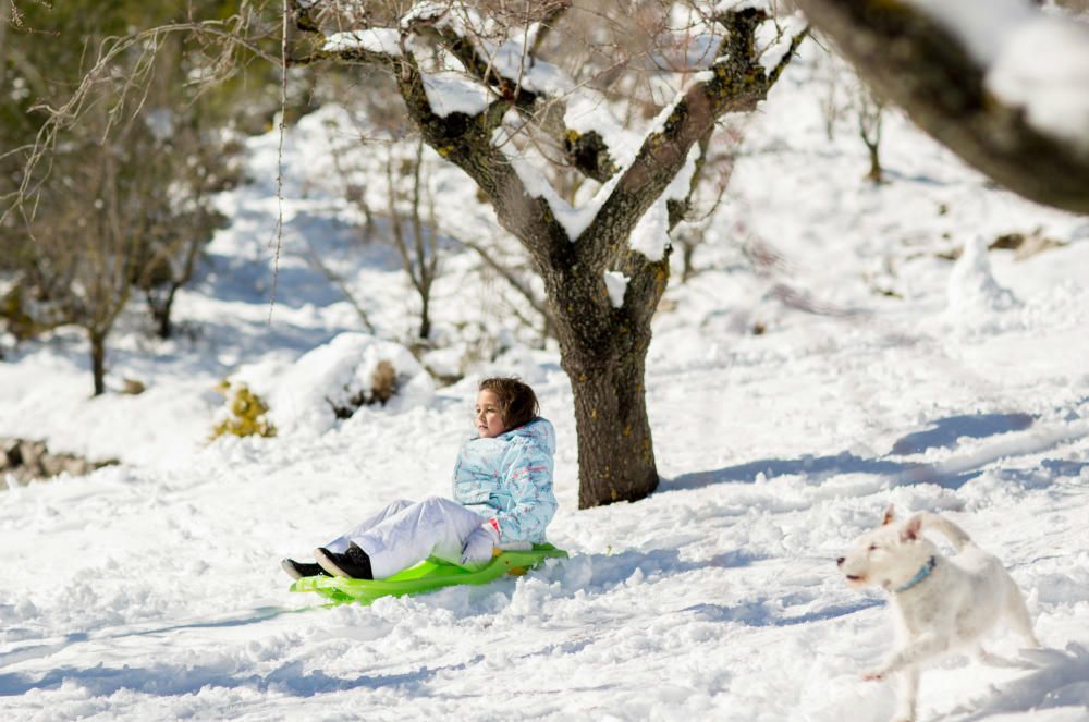 Un día de nieve en Confrides y Serrella.