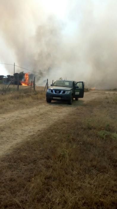 Fuego en Figueruela