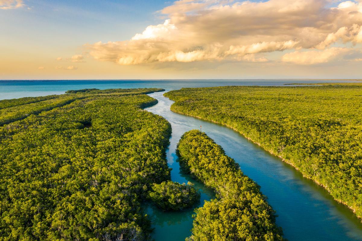 Parque Nacional Everglades, EE. UU.
