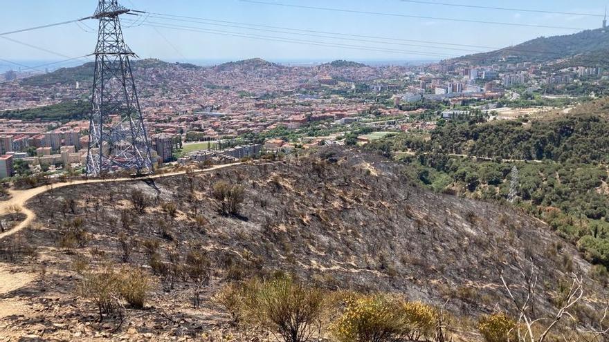 Incendio en Collserola