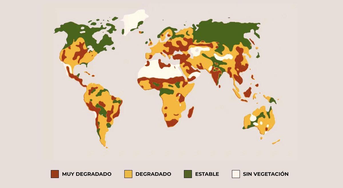 Estado de los suelos en el planeta.