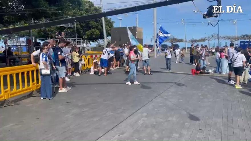 Así han celebrado los más madrugadores el ascenso del CD Tenerife en la plaza España