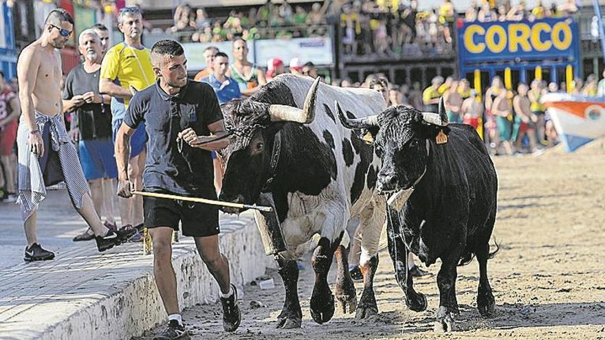 La ‘torrà popular’ triplica con 1.500 peñistas a la del 2018