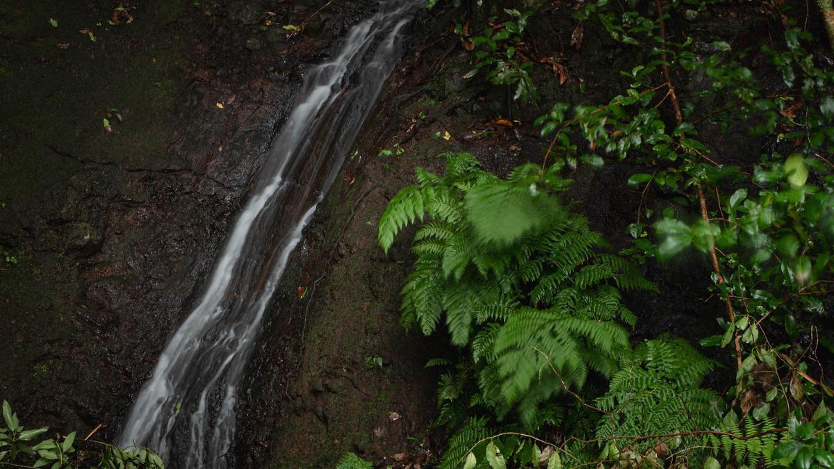 El agua corre estos días por los barrancos de Anaga