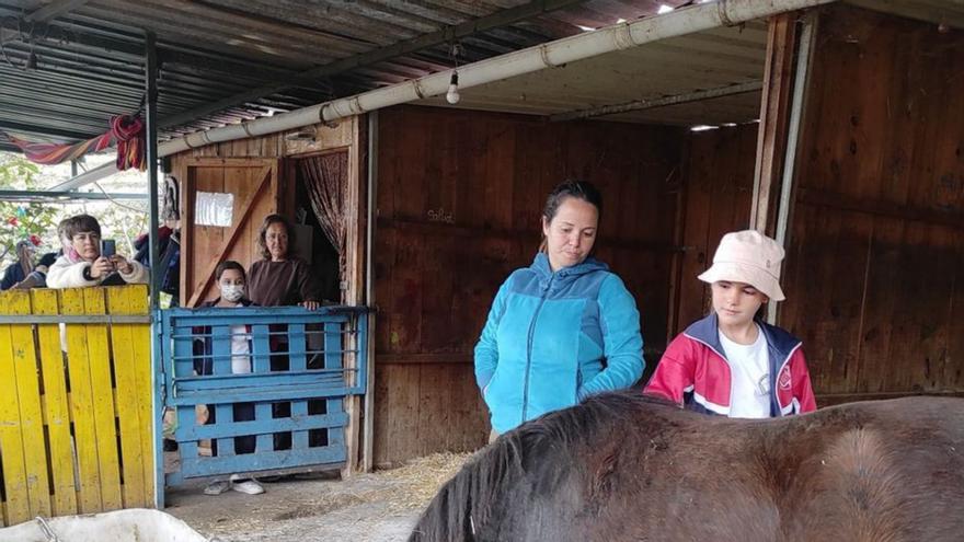 400 niños participan en un proyecto educativo con caballos rescatados