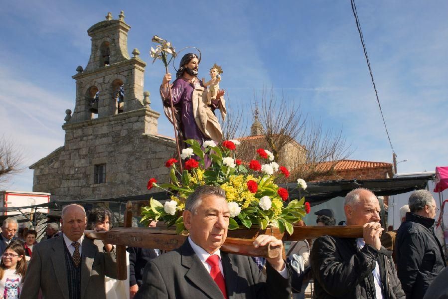 Feria del burro en San Vitero y romería