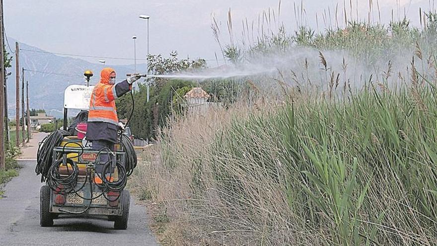 El PP denuncia el «fraude» de las brigadas antimosquitos