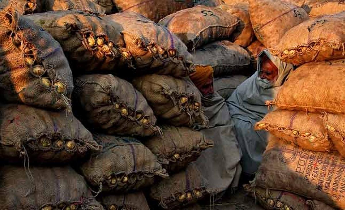 Dos agricultors s’asseuen al costat d’uns sacs plens de patates en un mercat de verdures a l’engròs a la ciutat de Chandigarh (al nord de l’Índia).