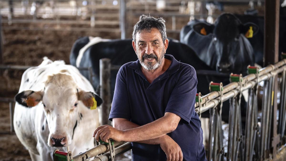 productors-de-llet-auguren-un-increment-dels-preus-per-la-sequera