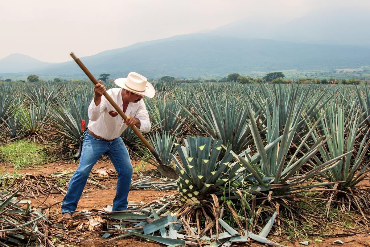 Tequila, Mexico