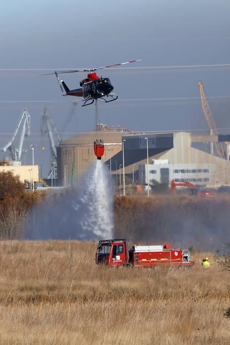 Incendio forestal en el Marjal dels Moros en Sagunt