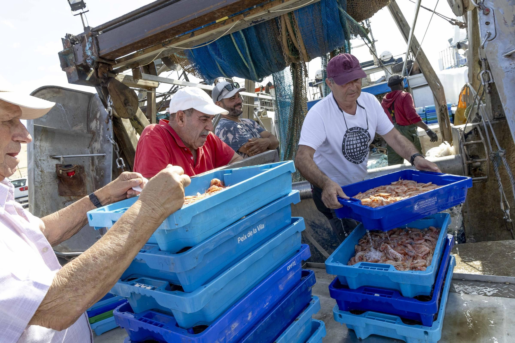 La flota de arrastre de Alicante estrena las nuevas redes impuestas por la UE