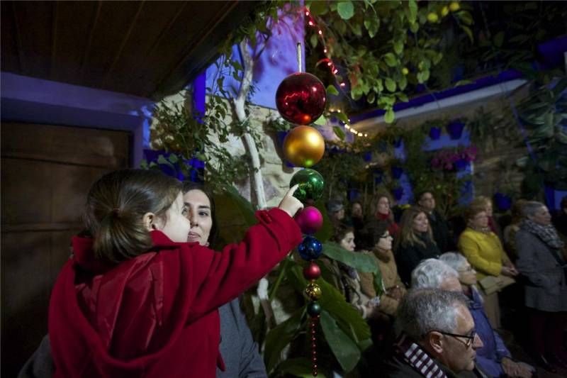 Fotogalería de pasacalles y navidad en los patios