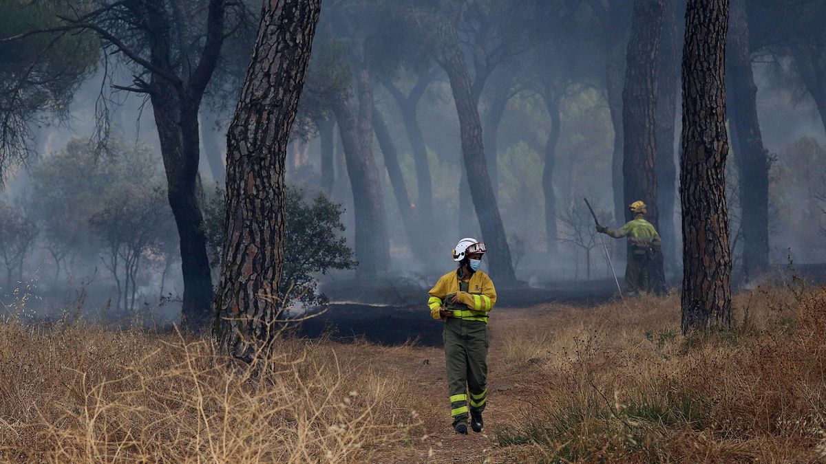 Medios de la Junta trabajando en la extinción del incendio originado en Lober de Aliste