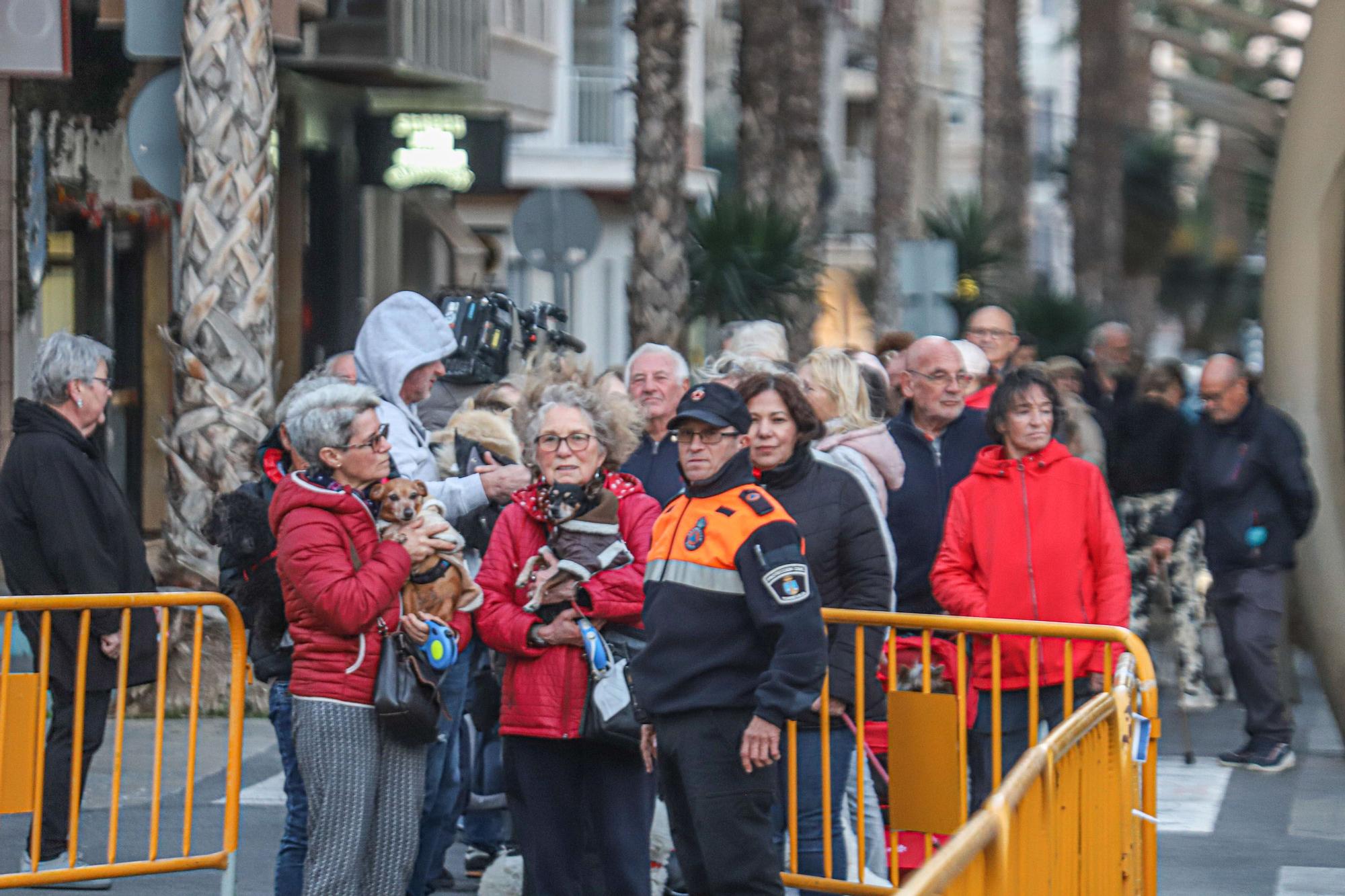 Bendición de San Antón en Torrevieja