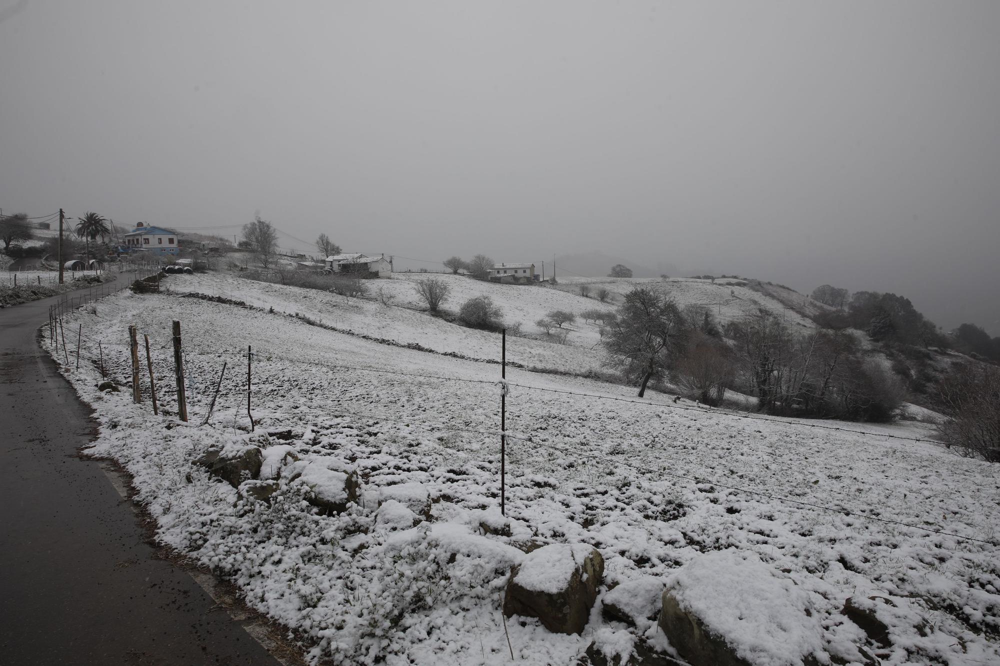 En imágenes: La borrasca Juliette llena de nieve parte de la zona rural de Gijón