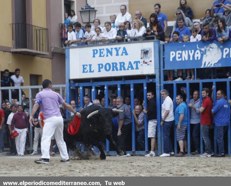 GALERÍA DE FOTOS -- Almassora late con toros bravos pese a la lluvia