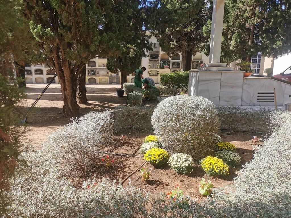 Canals adecúa el cementario municipal con motivo de la festividad de Todos los Santos