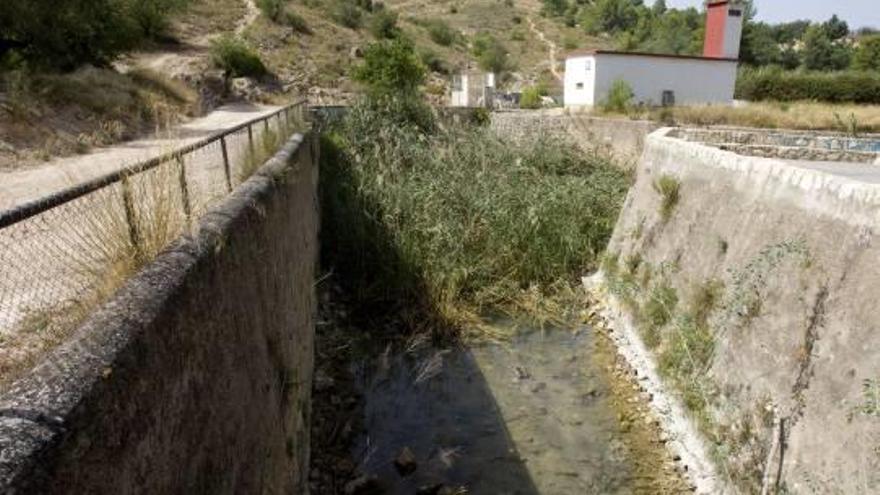 Nacimiento del Riu Sants, prácticamente seco y colonizado por vegetación invasora, ayer.