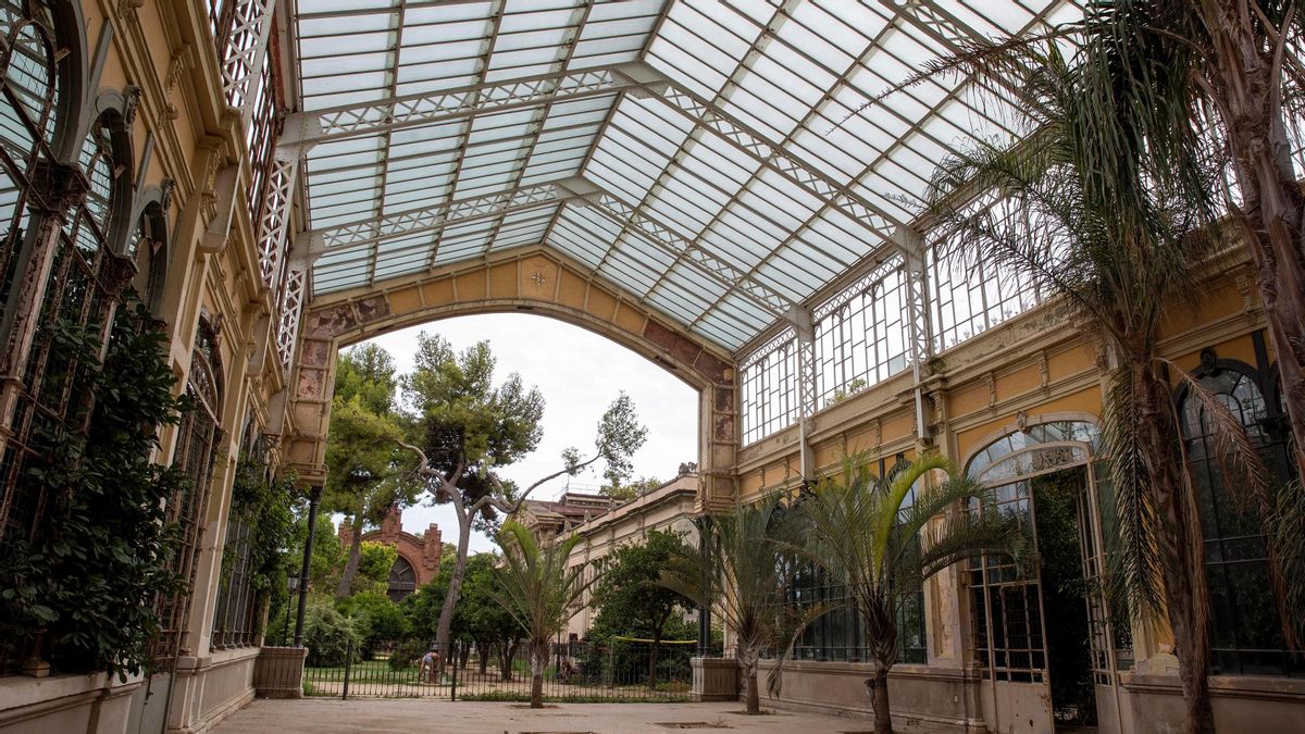 Un paraje por el que el tiempo ha pasado sin escrúpulos: el Hivernacle de la Ciutadella.