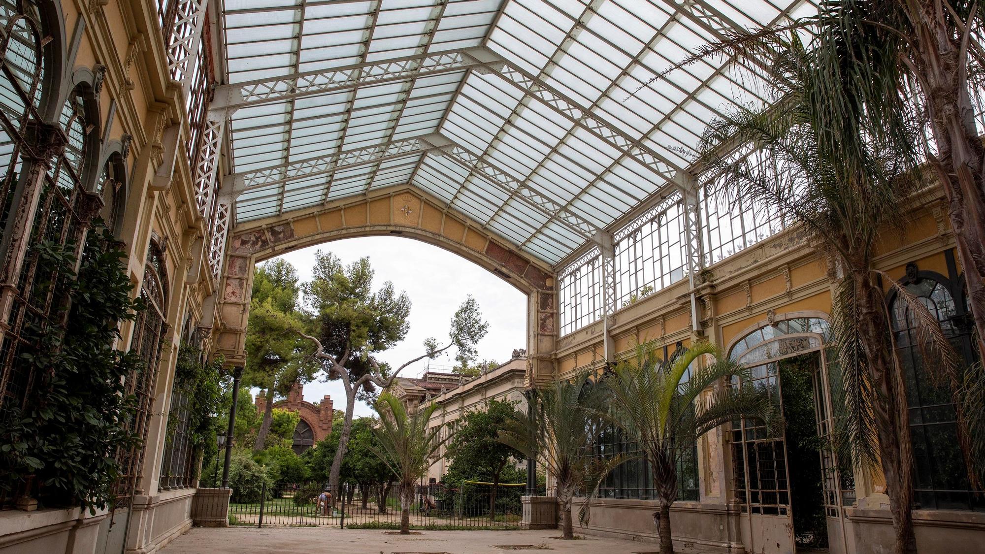 Un paraje por el que el tiempo ha pasado sin escrúpulos: el Hivernacle de la Ciutadella