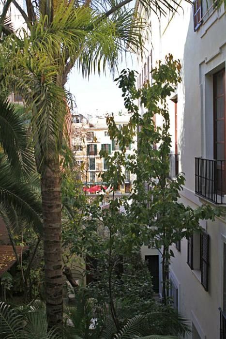 Seit 20 Jahren besitzt der Top-Manager Kim Schindelhauer den Stadtpalast Palacio Can Marqués in Palma. Vor Kurzem hat er darin ein Luxus Hotel eröffnet.