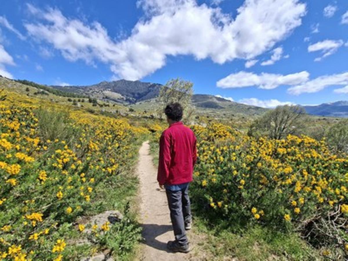 Desde Los Molinos han organizado varias rutas de senderismo que serán gratuitas con reserva previa