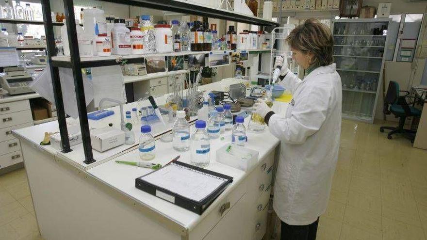 El CITA pone en marcha 15 nuevos proyectos competitivos de investigación