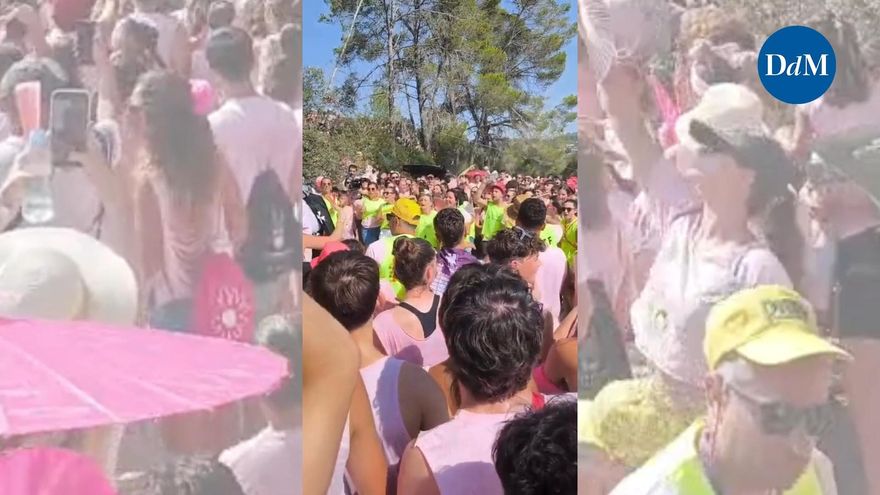 Un rayo impacta en una palmera en sa Vileta