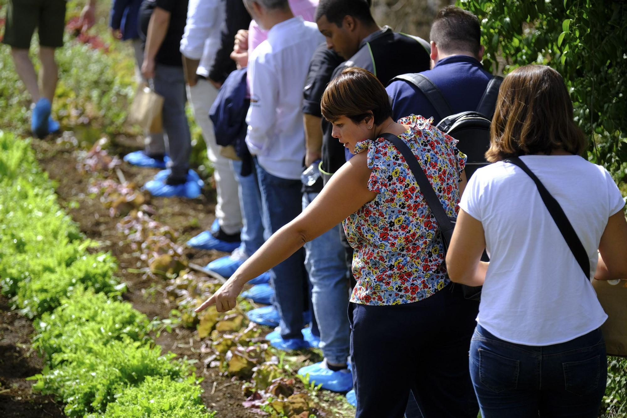 Visita a Ecohuerta Canaria