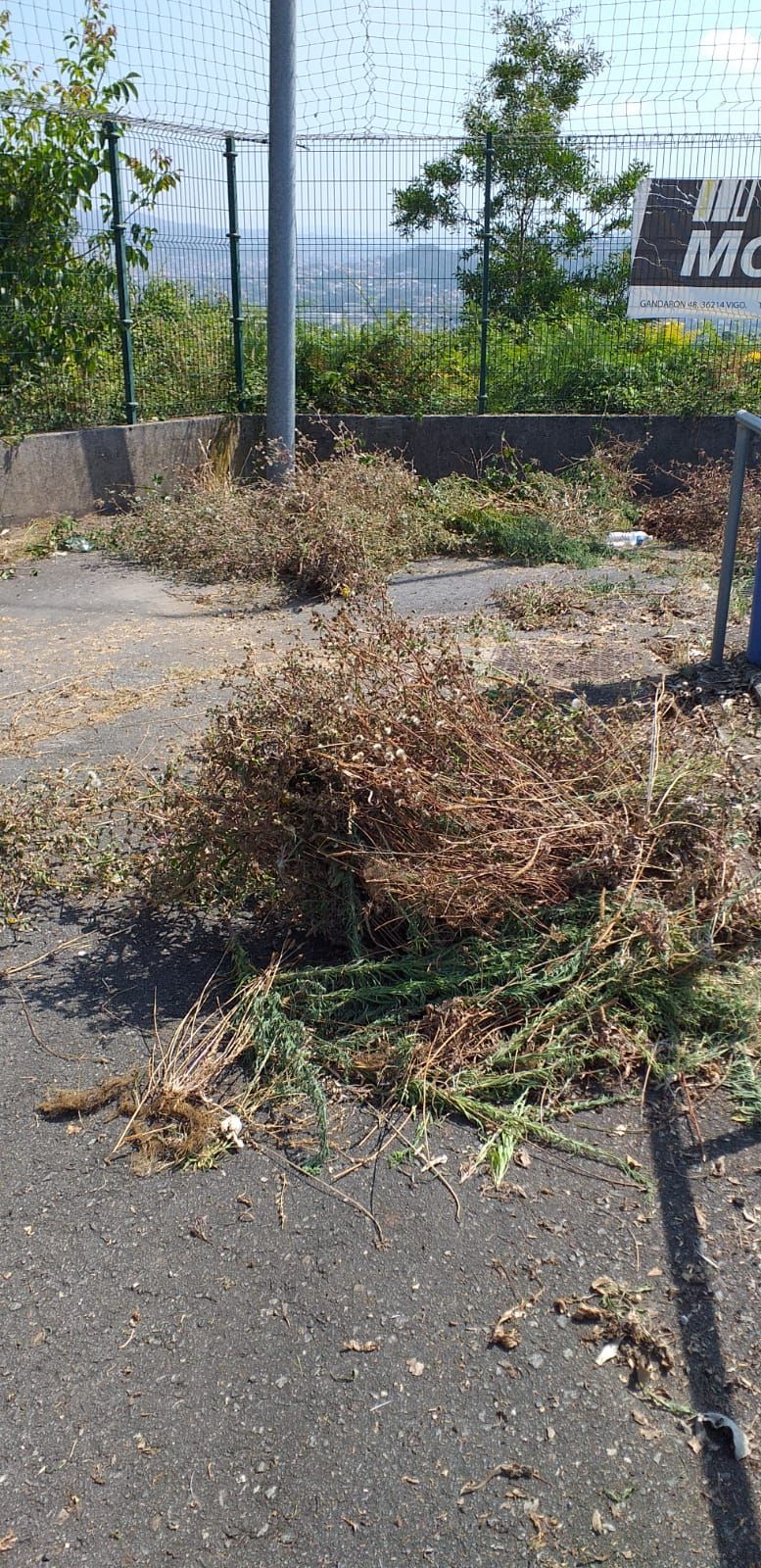 De tragarse los balones a invadir el campo: así se defiende de la selva el Racing de Castrelos