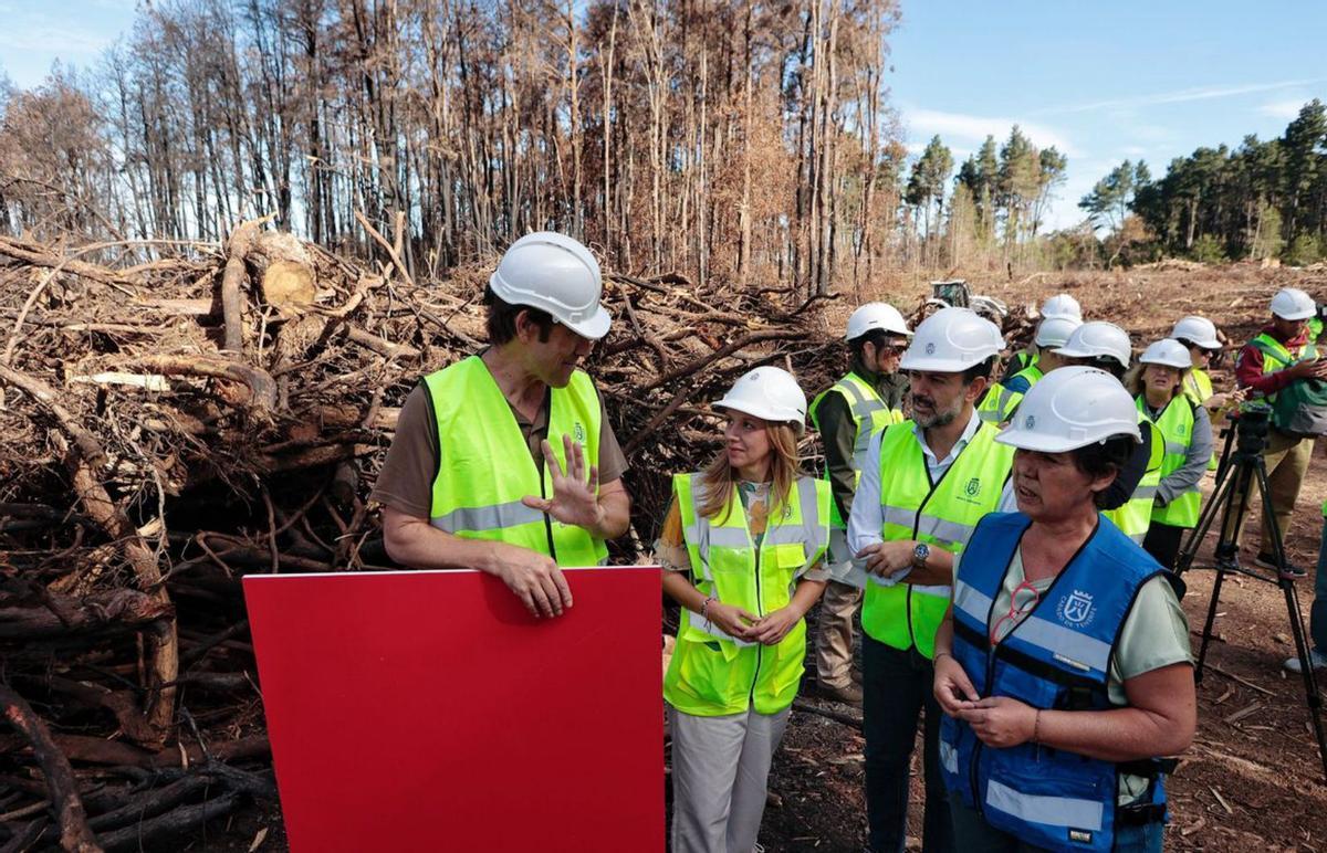 7,5 millones de euros de emergencia para reducir el impacto del incendio en el monte