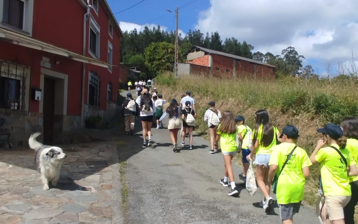 En imágenes: los estudiantes veigueños exploran el Camino Primitivo de ...