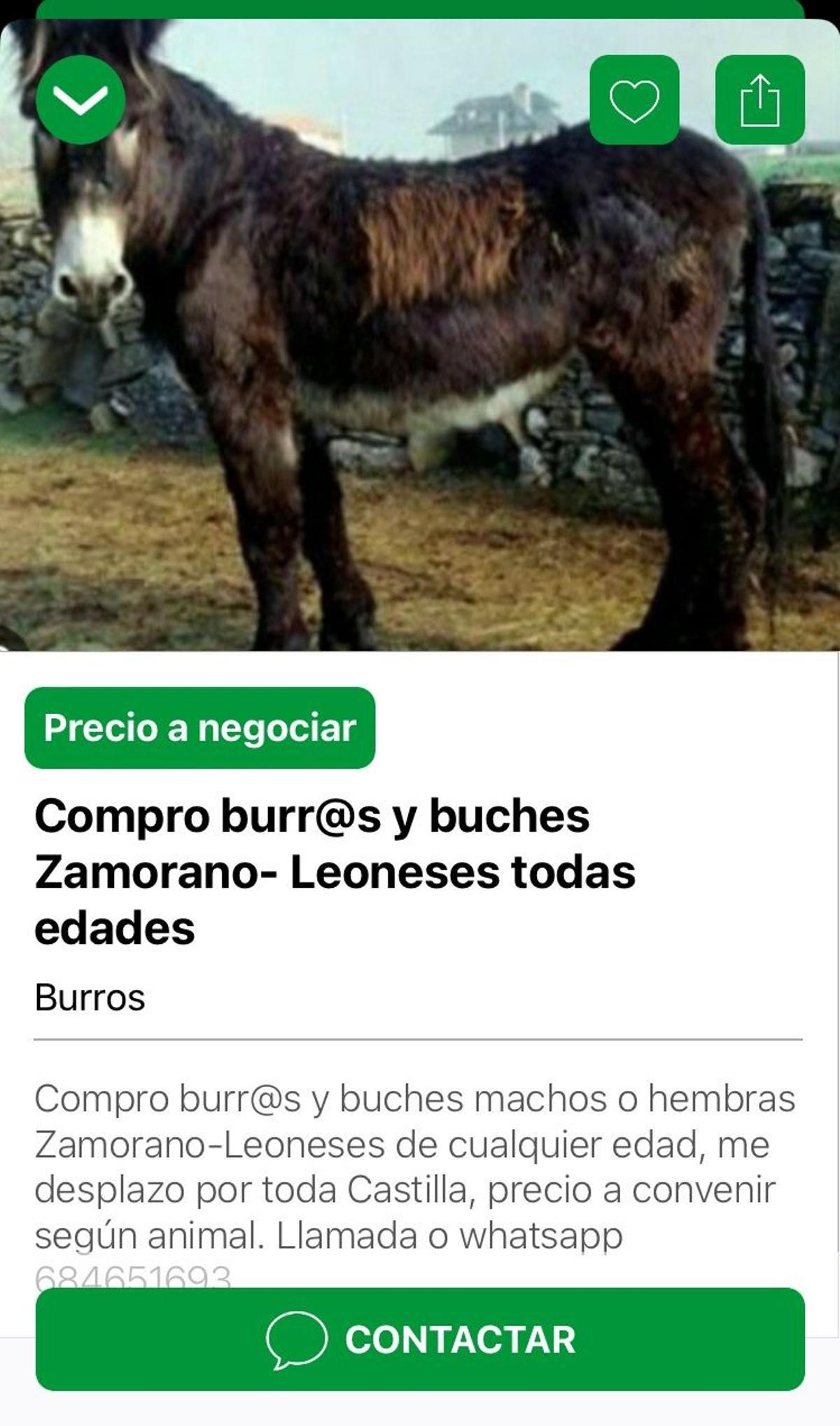 Anuncio en la aplicación Vacapop.