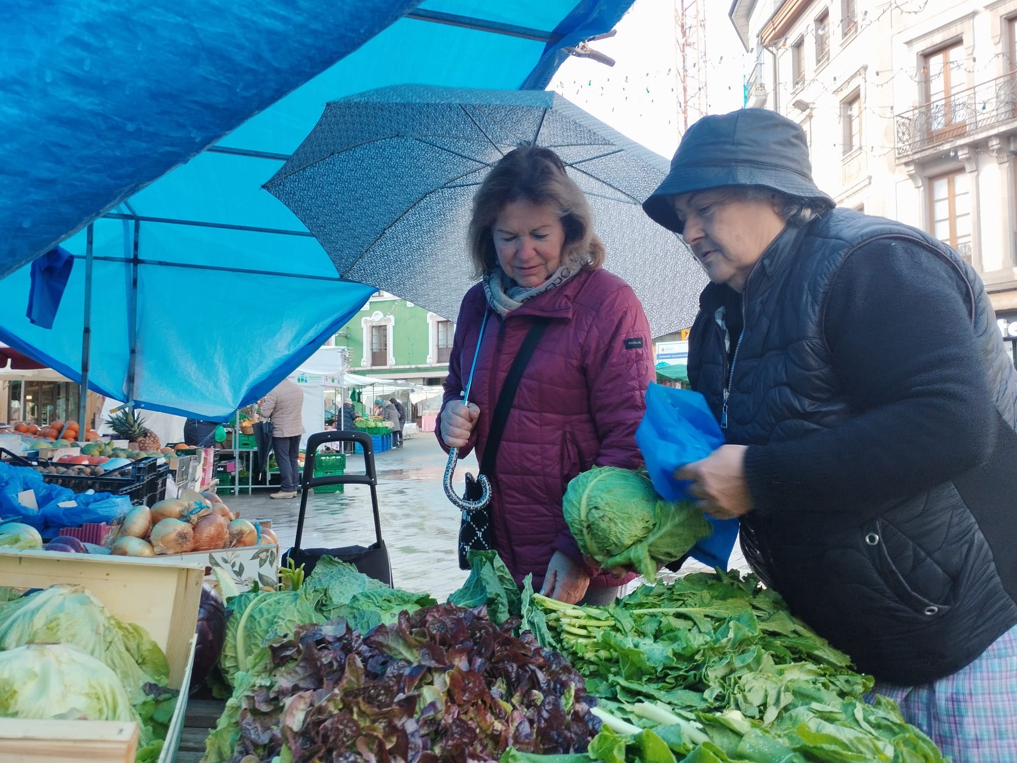 El mercado de los miércoles en Grado: así es la cita con los productos de la huerta