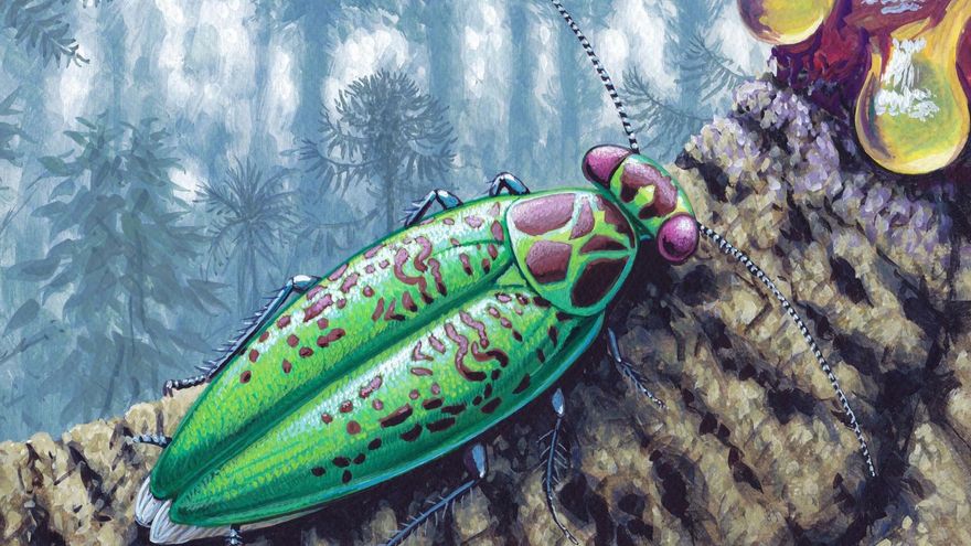 Una extraña cucaracha &quot;metálica&quot; sobrevivió a la extinción masiva que acabó con los dinosaurios