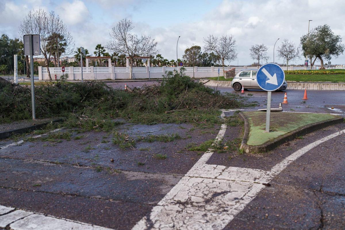 Efectos del temporal Leonardo a su paso por Mérida