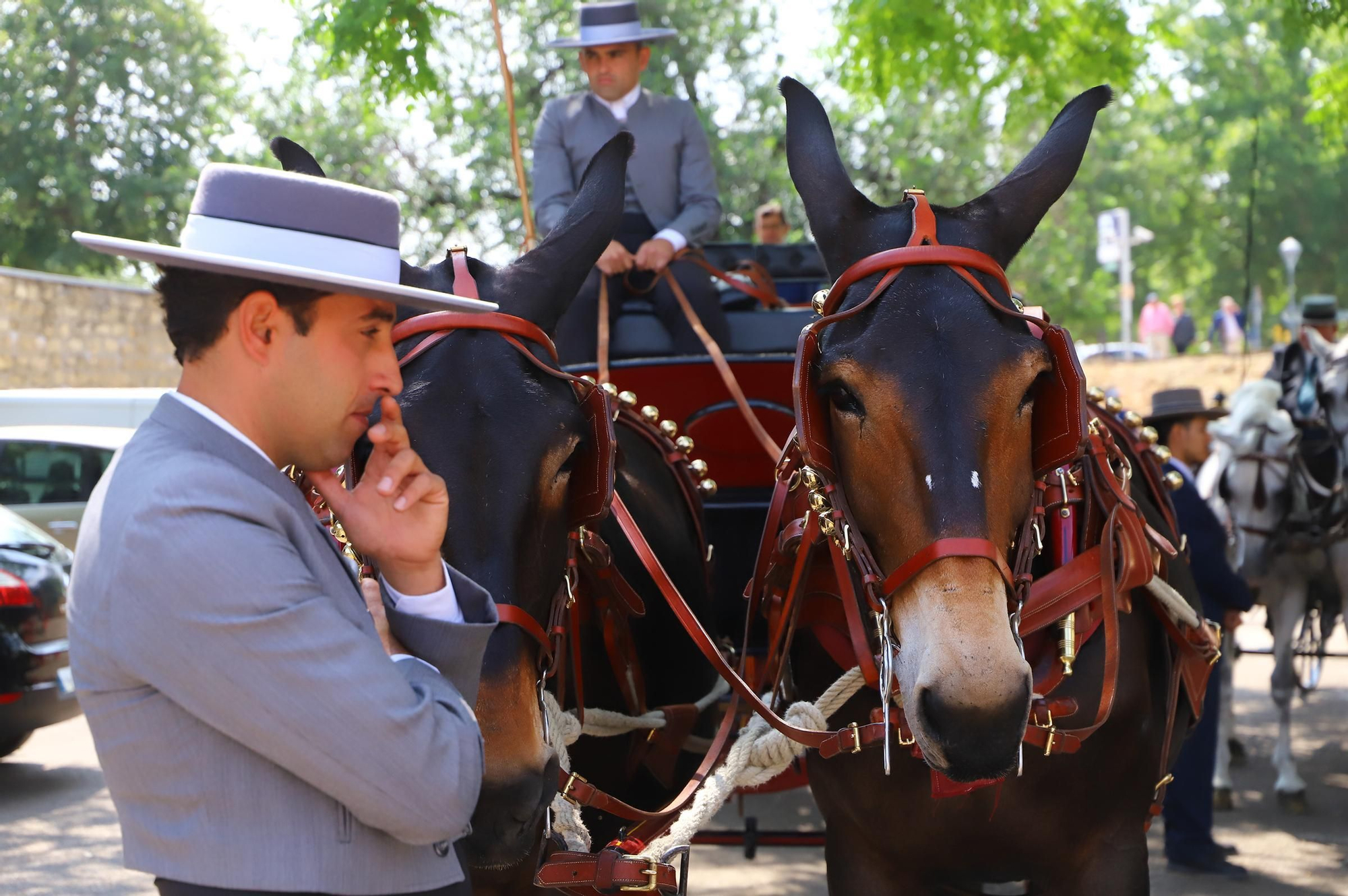 Carruajes y misa en honor de Nuestra Señora de la Salud