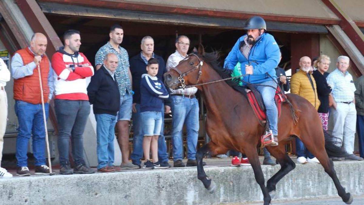 Imaxe da Feria cabalar das Festas da Ascensión, no recinto de Amio