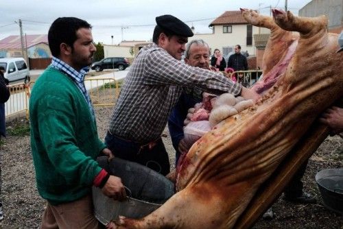 Matanza tradicional en Monfarracinos