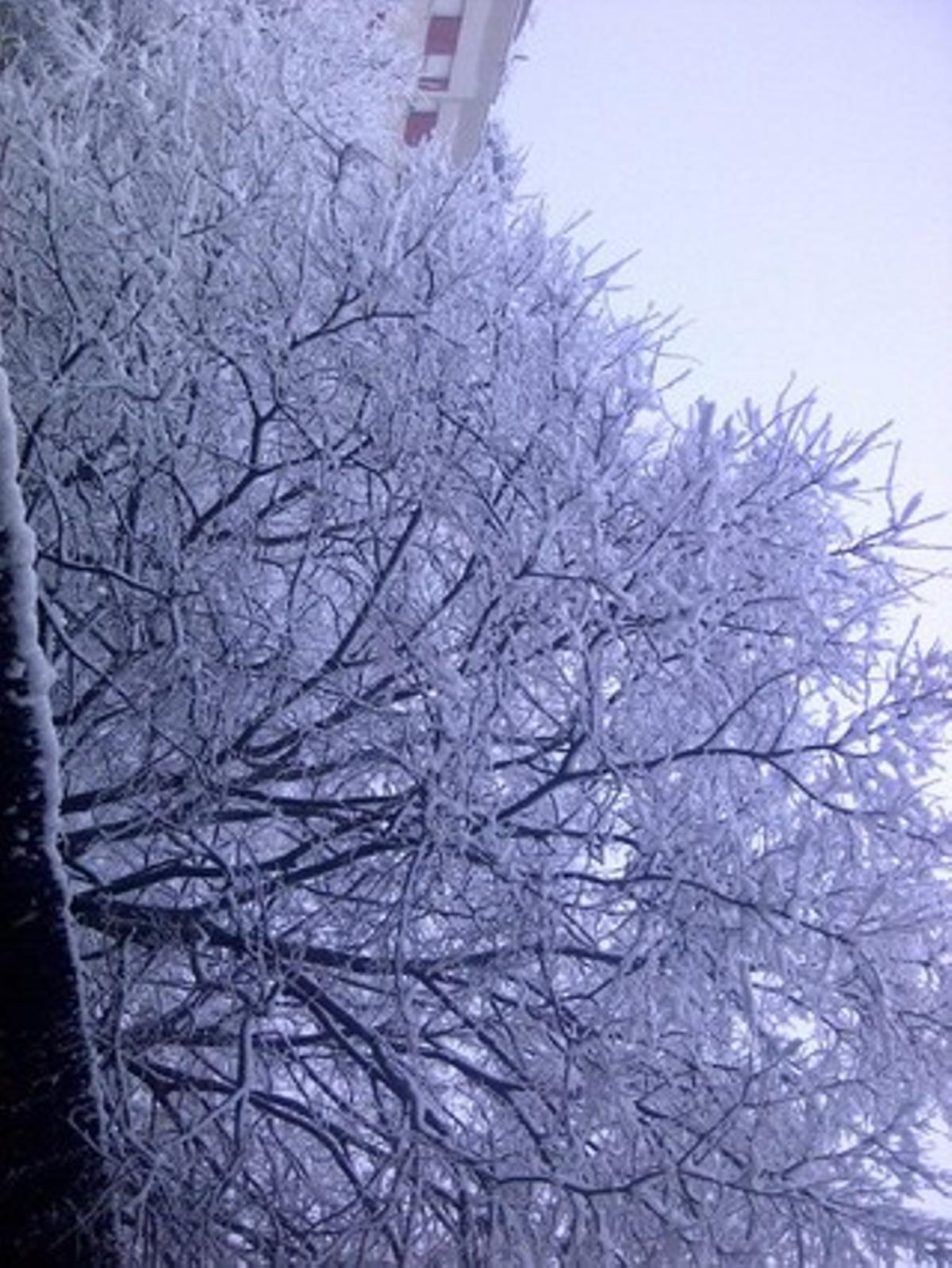 Nevada en Sant Genís dels Agudells.