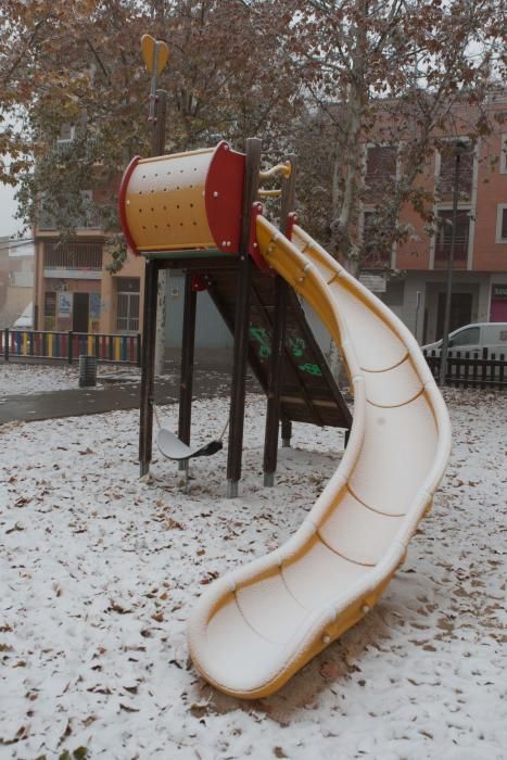 Zamora, cubierta de blanco por la cencellada